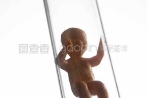 http://changchun.nbgk120.com/post/209.html|长春捐卵费用
