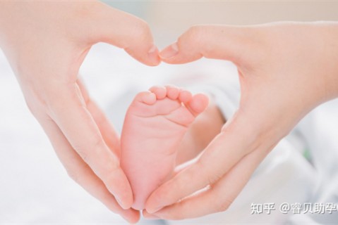 夏天长春捐卵宝宝发烧 莫要急